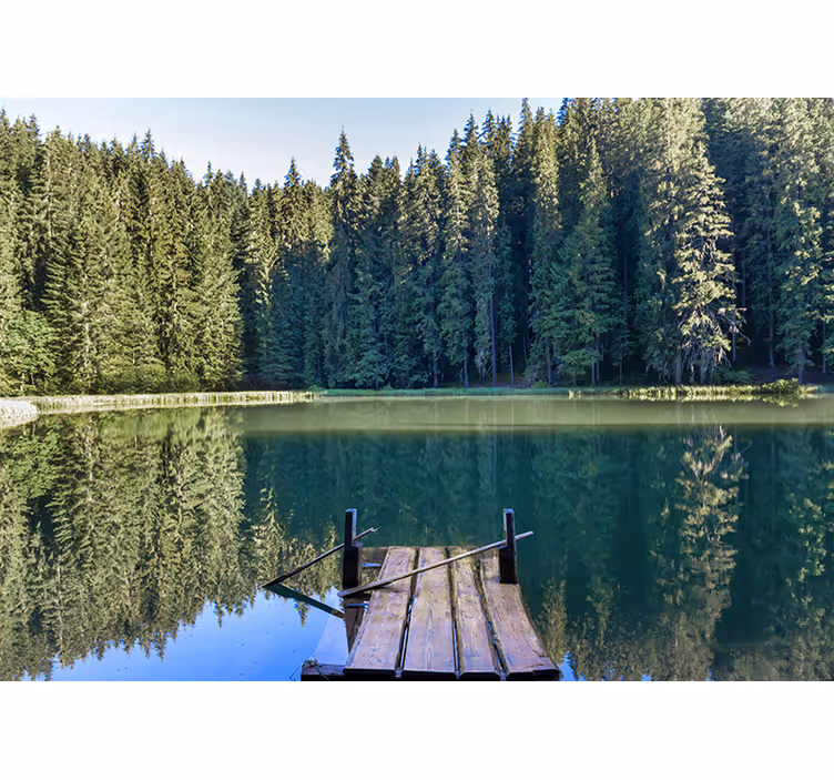 Fototapet natura reflecție liniștită în pădure - TenStickers