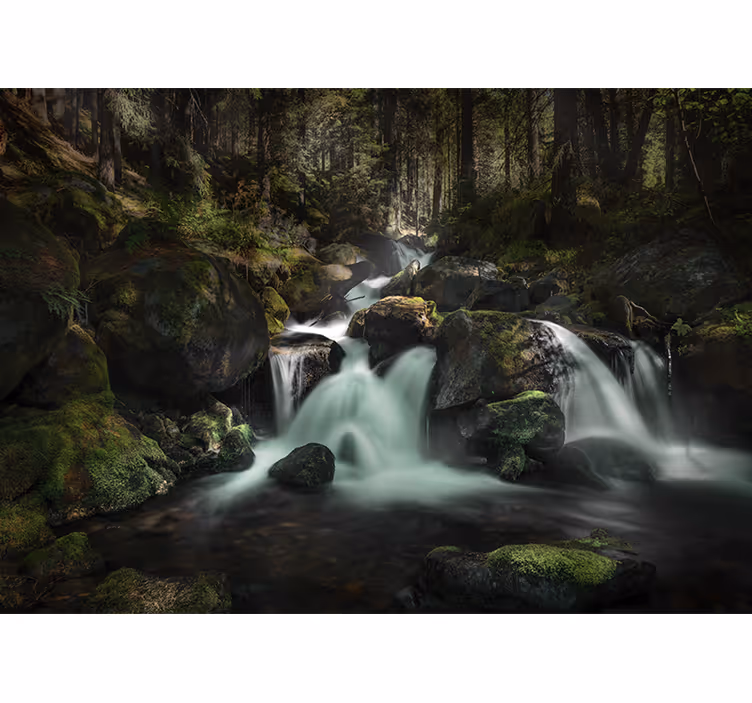 Cascadele fototapet pârâu liniștit din pădure - TenStickers