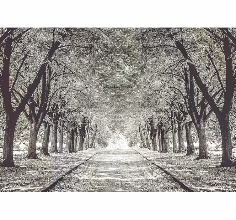 Fototapet natura cale senină a copacilor - TenStickers