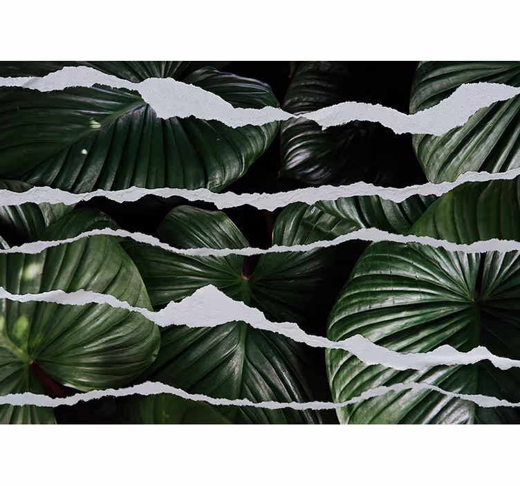 Fototapet natura design frunze luxuriante - TenStickers