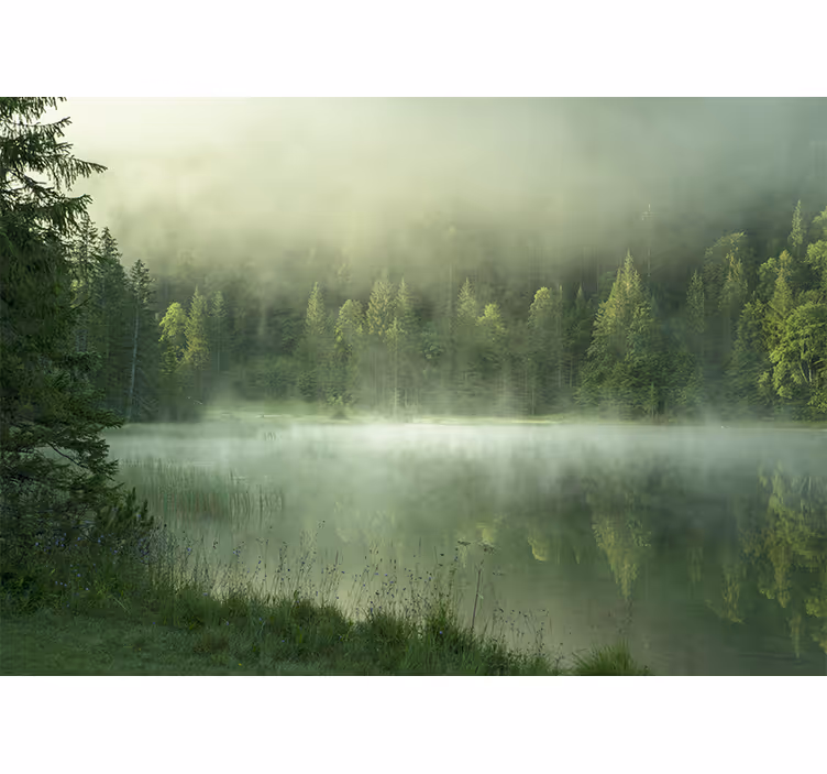 Fototapet natura reflexia lacului în ceață - TenStickers