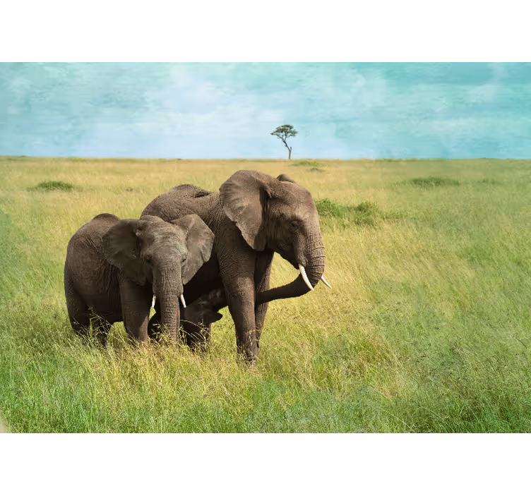 Fototapet animale elefanți în pajiște - TenStickers