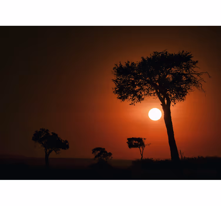 Fototapet peisaje scena apusului siluetei - TenStickers