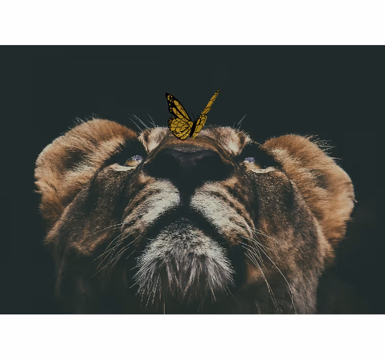 Fototapet leii pui cu fluture - TenStickers