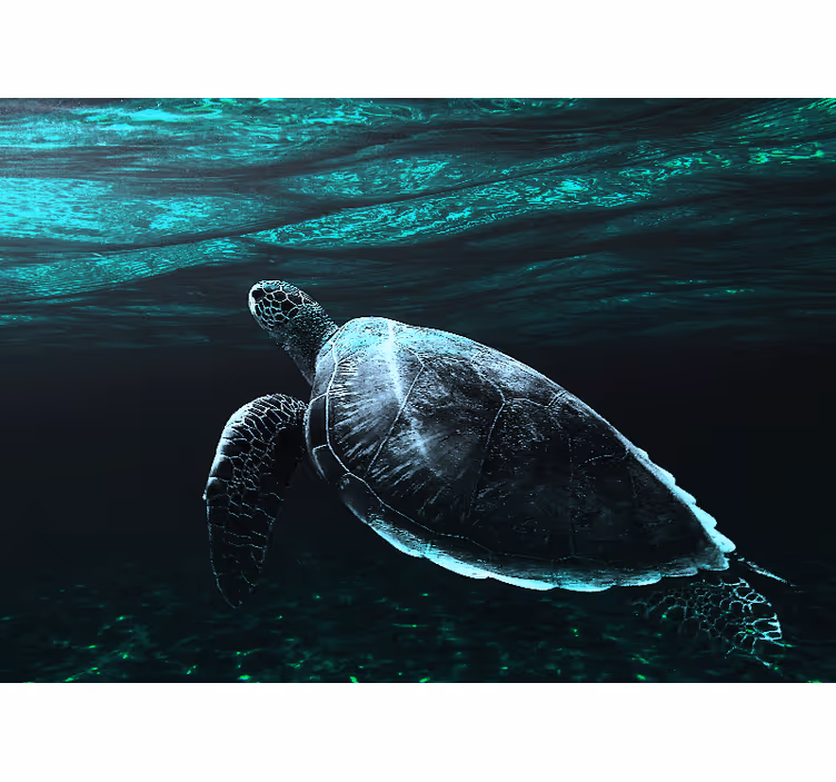 Fototapet animale broască țestoasă majestuoasă - TenStickers