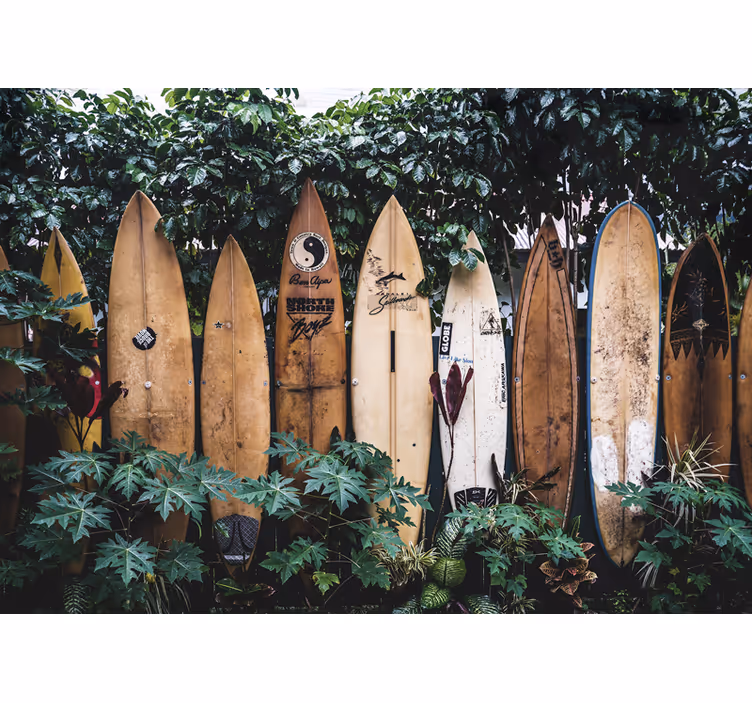 Fototapet vehicule expuneri de plăci de surf - TenStickers