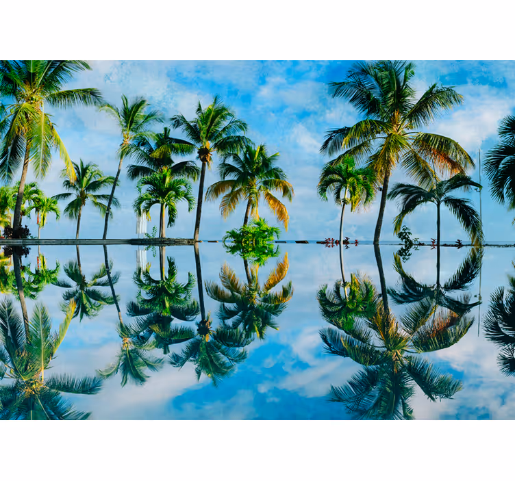 Fototapet natura reflecții de palmi verzi - TenStickers