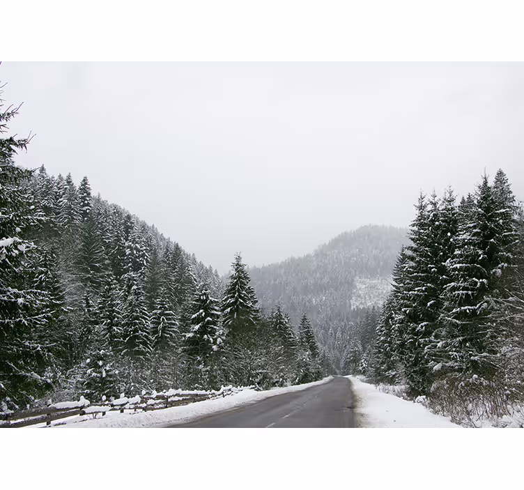 Muntele fototapet peisaj montan Înghețat - TenStickers