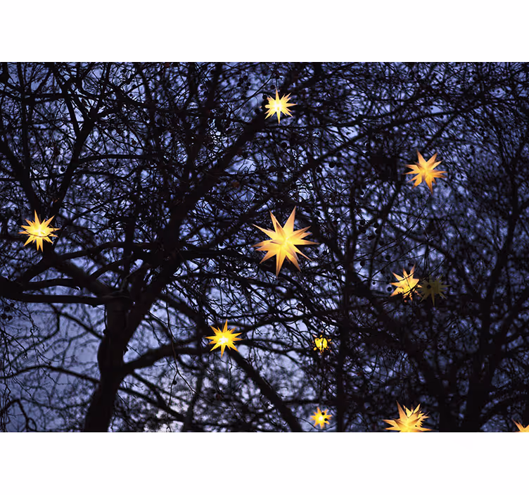 Crăciun fototapet noaptea aurie steață - TenStickers