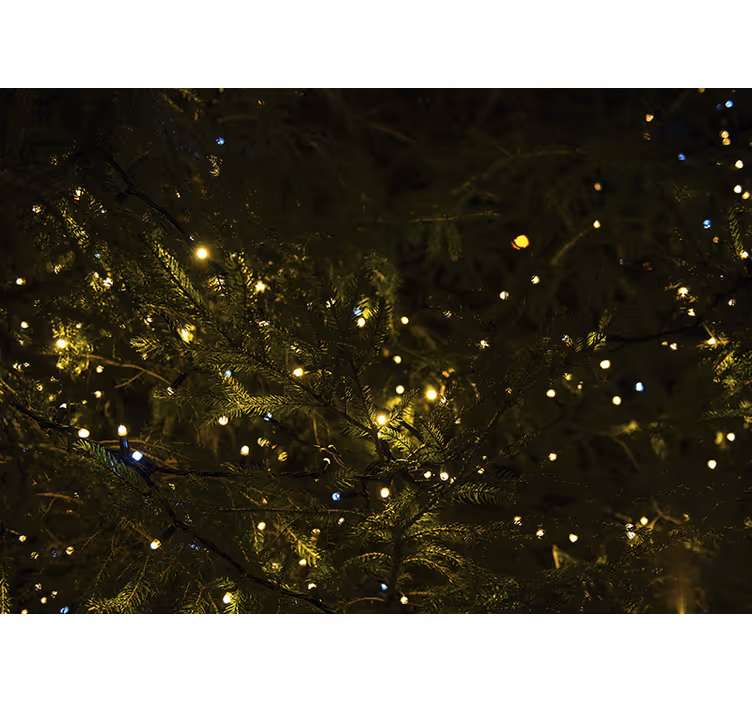 Crăciun fototapet lumini festive de brad - TenStickers