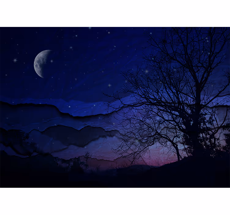 Fototapet cerul noaptea luminată de lună - TenStickers