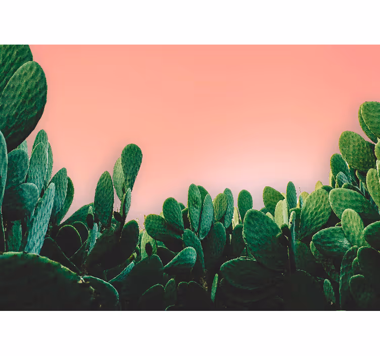 Fototapet natura peisaj cu cactuși - TenStickers