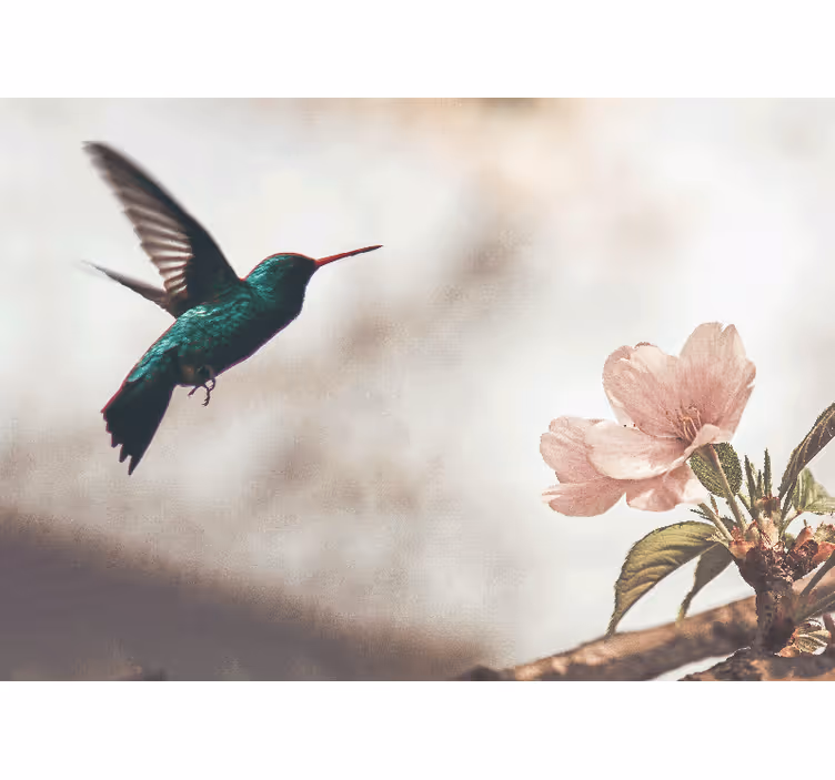 Fototapet animale colibri și floare - TenStickers