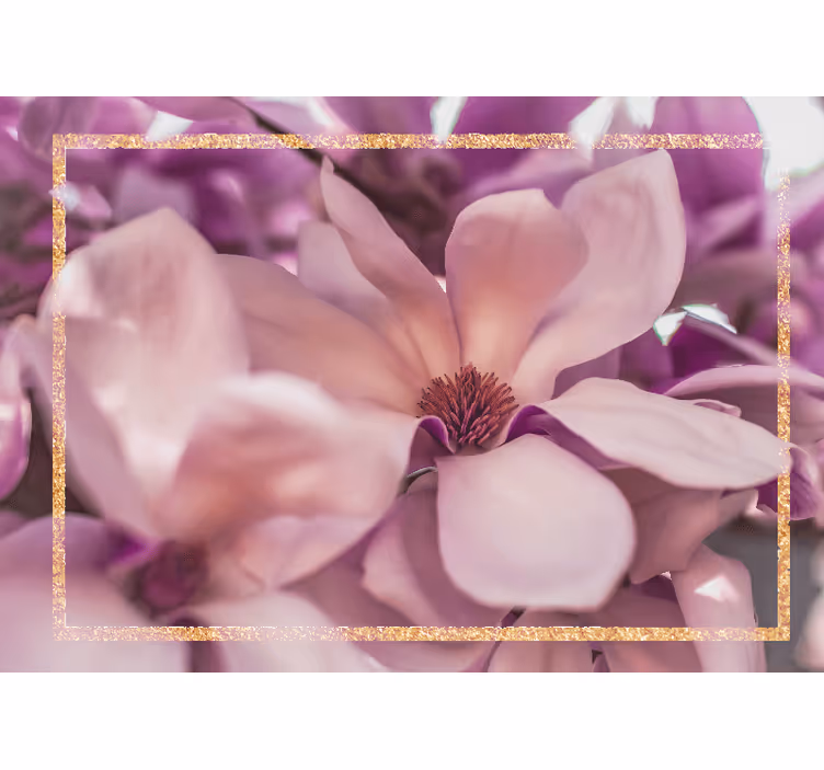 Fototapet cu flori magnolie în prim-plan - TenStickers