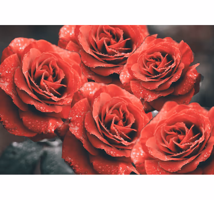 Fototapet cu flori bujori roșii înfloriți - TenStickers
