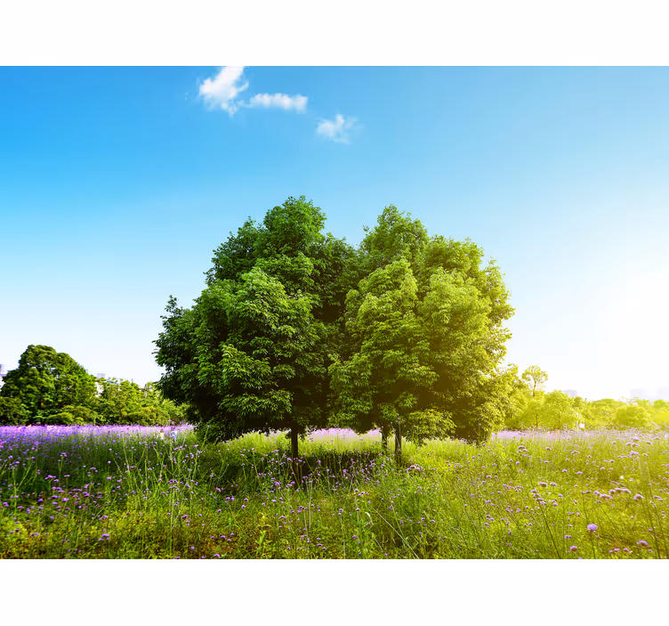 Fototapet natura copaci verzi luxurianti - TenStickers