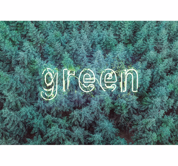Fototapet natura inscripții pădure verde - TenStickers