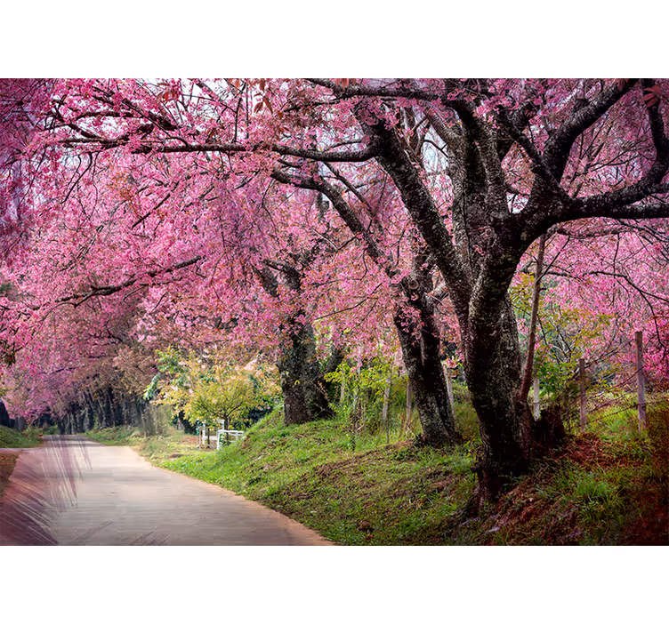Fototapet cu flori calea florilor - TenStickers