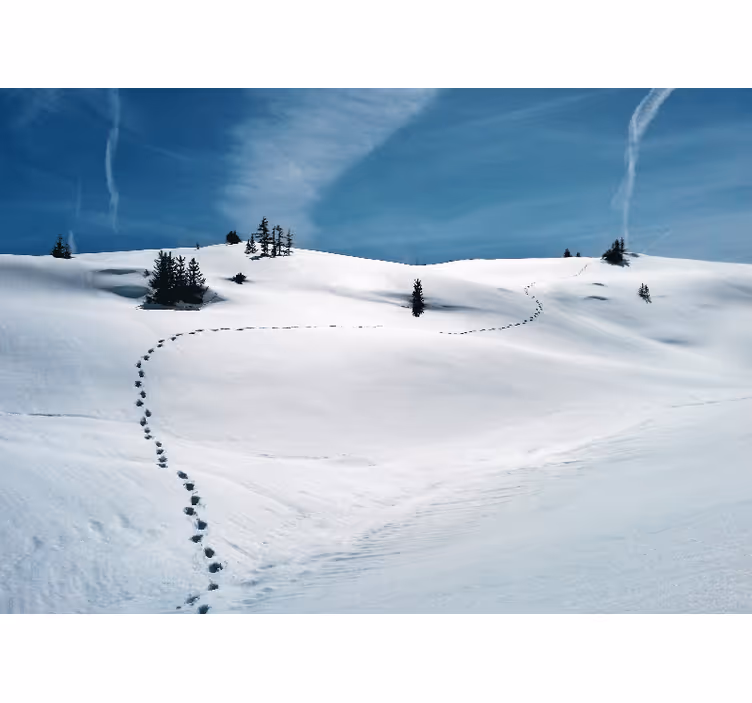 Muntele fototapet calea montană Înghețată - TenStickers