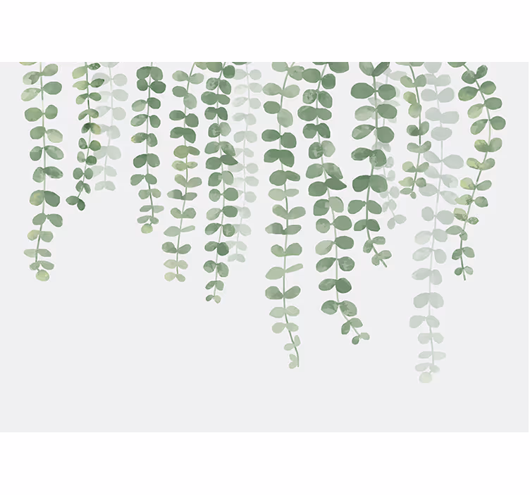 Arbori fototapet viță de vie cu verdeață luxuriantă - TenStickers