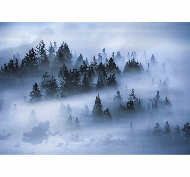 Fototapet natura pădurea veșnic verde cețoasă - TenStickers
