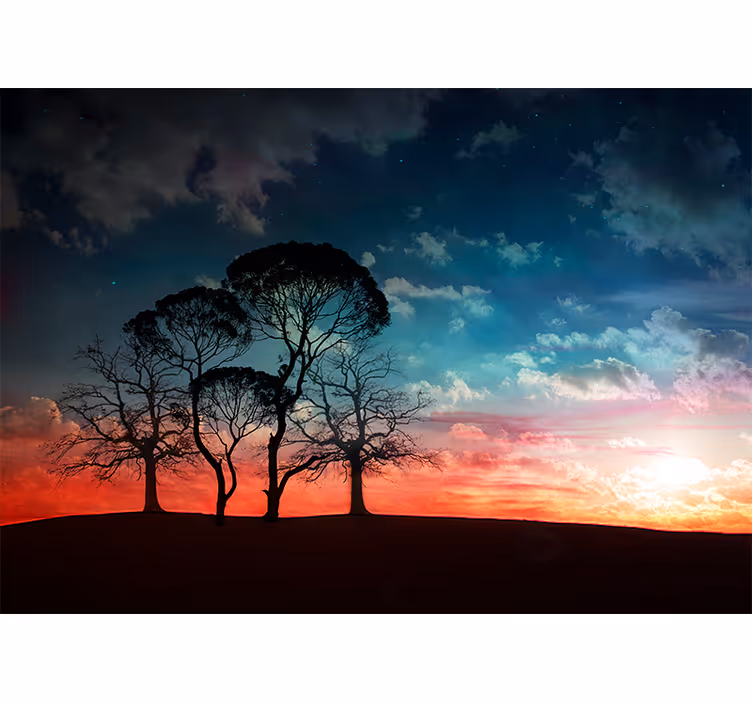 Arbori fototapet silueta de copac la apus - TenStickers