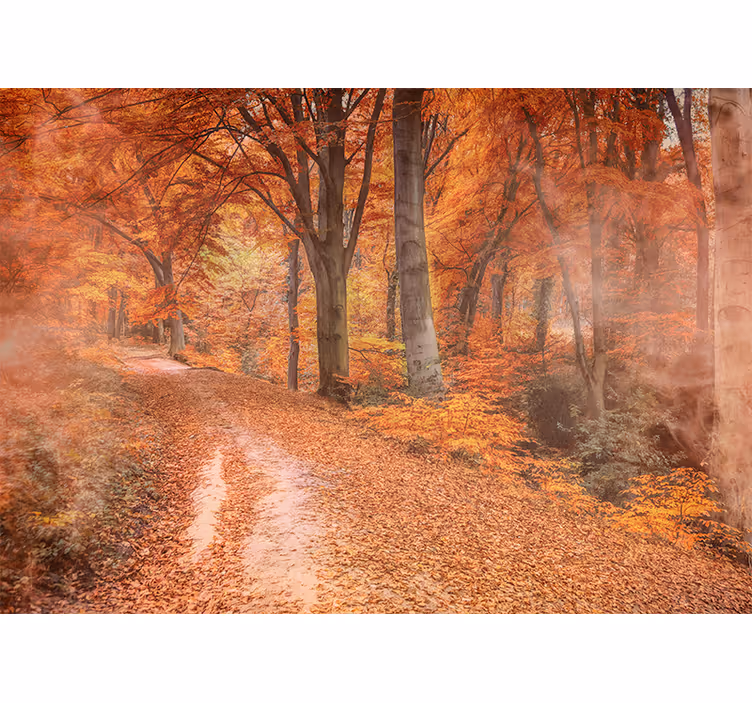 Fototapet natura poteca de toamnă - TenStickers