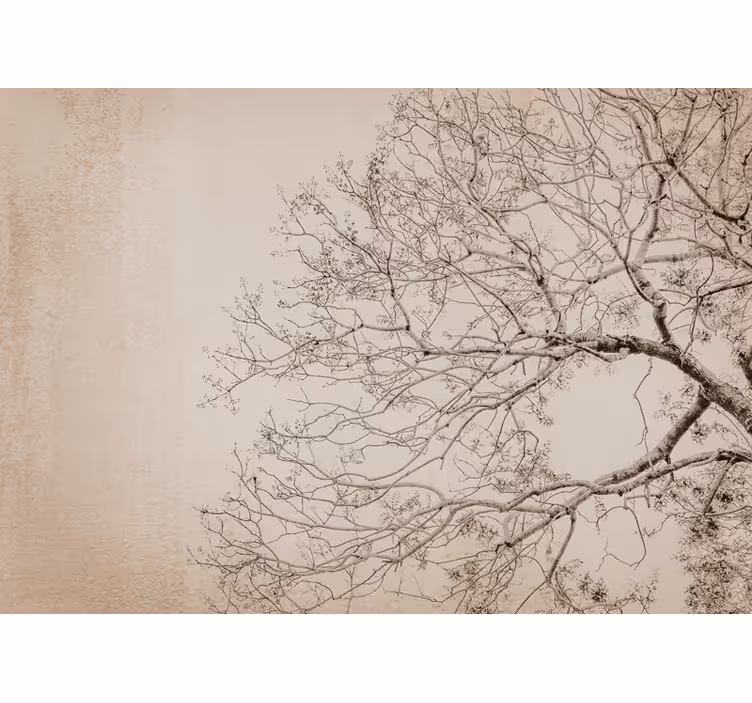 Arbori fototapet siluete frumoase de ramuri - TenStickers
