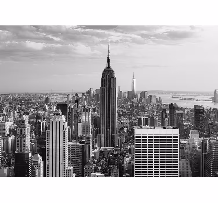 Fototapet new york peisaj urban empire state - TenStickers