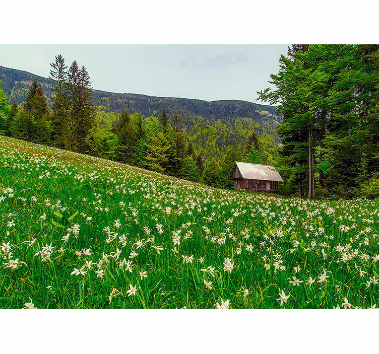 Fototapet natura peisaj pastoral seren - TenStickers