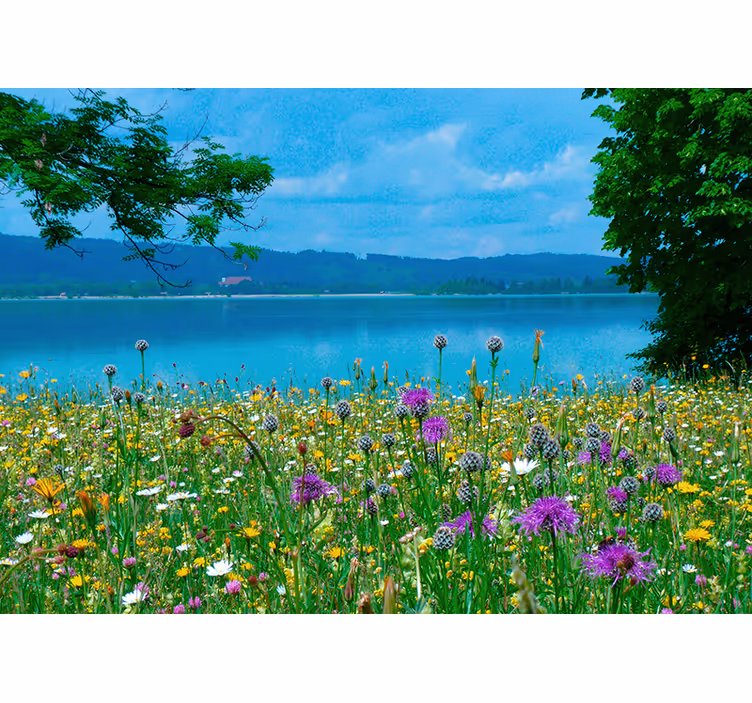 Fototapet cu flori flora de pajiște luxuriantă - TenStickers