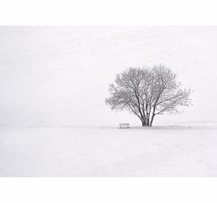 Fototapet natura copac singuratic acoperit cu zăpadă - TenStickers