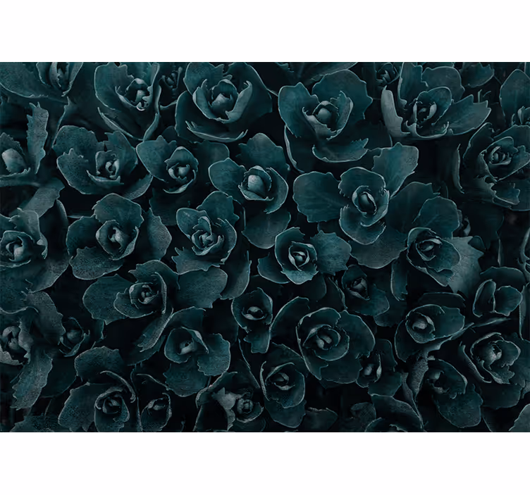 Fototapet cu flori buchet elegant de trandafiri - TenStickers