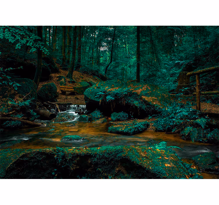 Păduri fototapet pârâu seren din pădure - TenStickers
