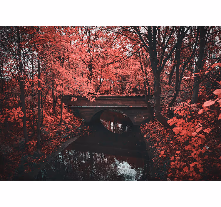 Fototapet natura pădure cu frunze roșii - TenStickers