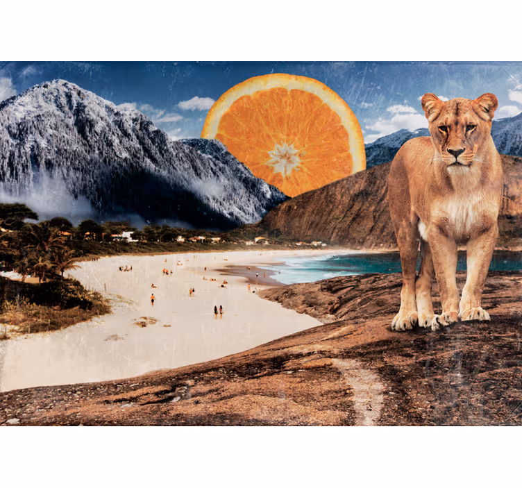 Fototapet animale scenă cu leu pe plajă - TenStickers