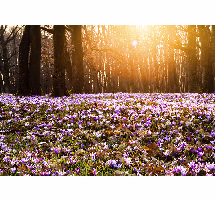 Fototapet cu flori pajiște de flori însorite - TenStickers