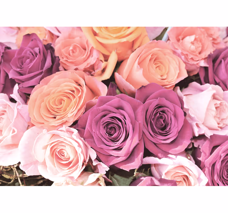 Fototapet cu flori buchet de trandafiri în detaliu - TenStickers