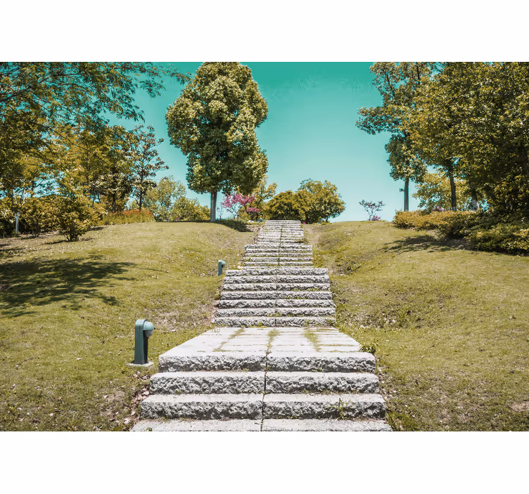 Fototapet natura scara prin natură - TenStickers