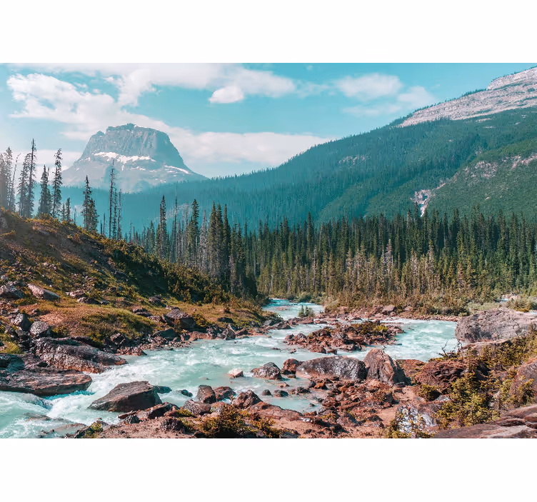 Fototapet peisaje pârâu montan verde - TenStickers