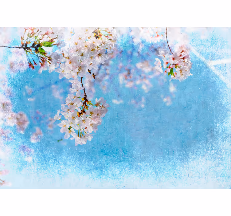 Copac roz cu floare de cireș cu fototapet cer - TenStickers