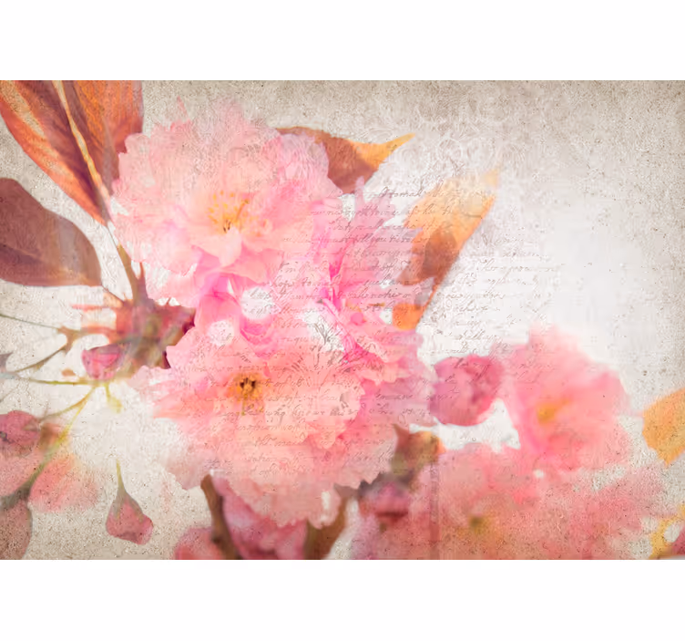 Fototapet cu flori floare de cireș - TenStickers