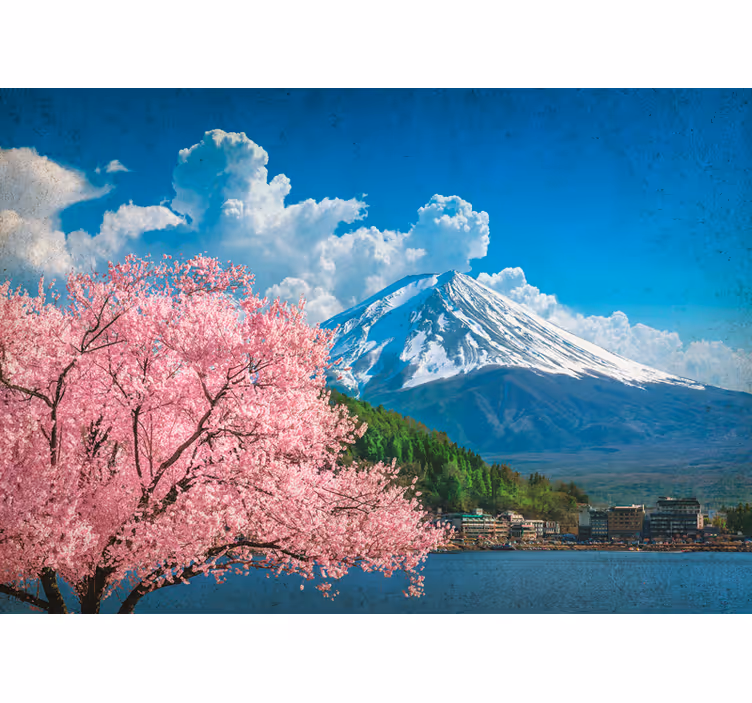 Copaci cu flori de cireș un lac fototapet - TenStickers