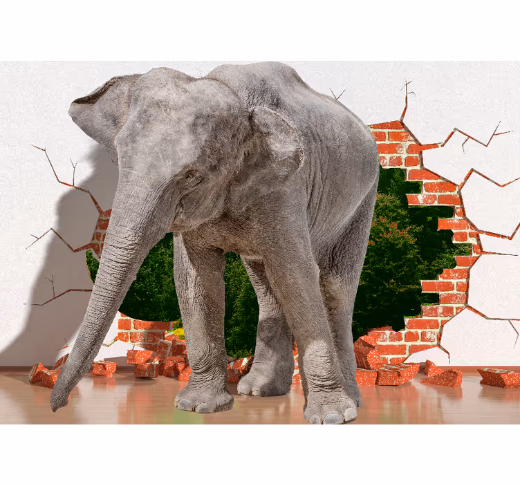 Fototapet 3d elefant spargând zidul - TenStickers