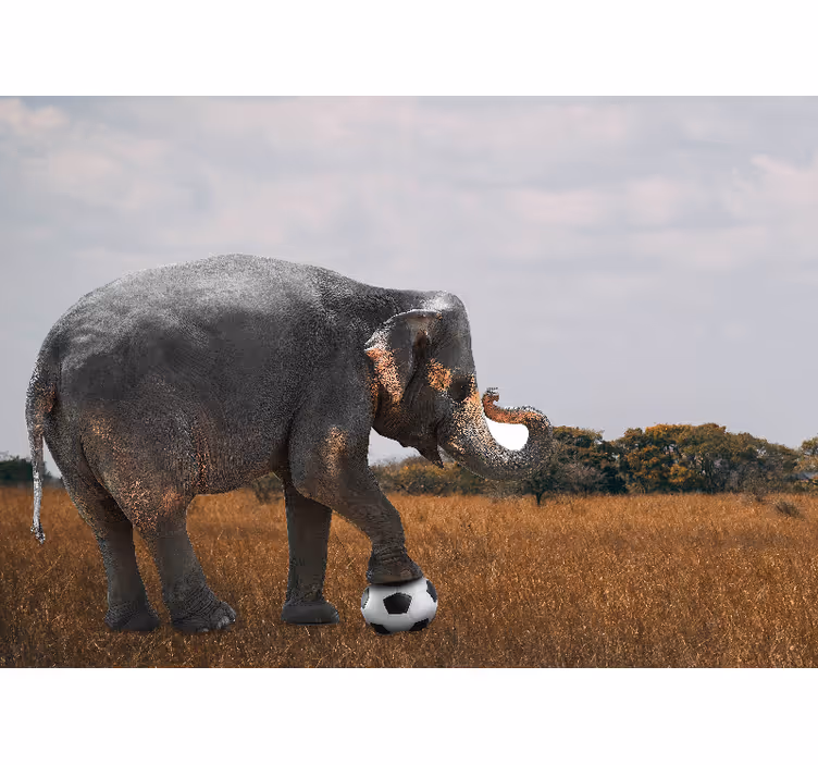Picturi murale cu alte animale elefant jucând fotbal - TenStickers