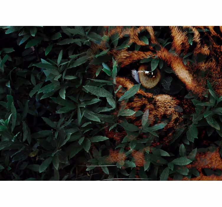Fototapet animale leopard printre frunziș - TenStickers