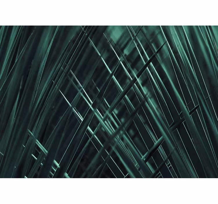 Fototapet natura fire verzi texturate - TenStickers