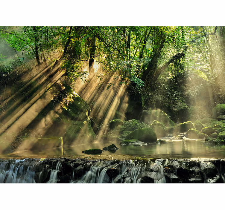 Fototapet natura pârâu de pădure însorit - TenStickers