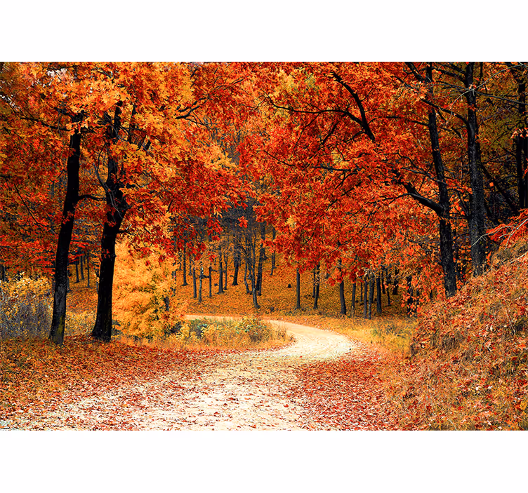 Pictura murală cu frunze roșii din pădure - TenStickers