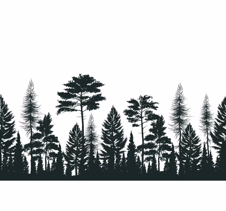 Fototapet natura copaci veșnici în siluetă - TenStickers